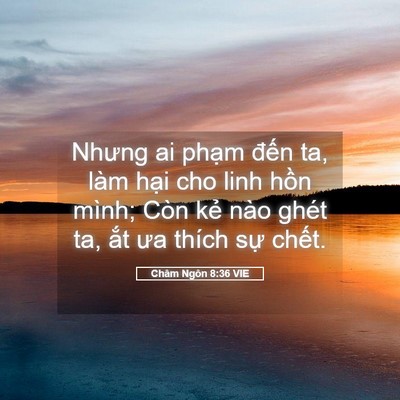 Picture 05 - Châm Ngôn 8:36 VIE - Nhưng ai phạm đến ta, làm hại cho linh - Bible Verse Picture