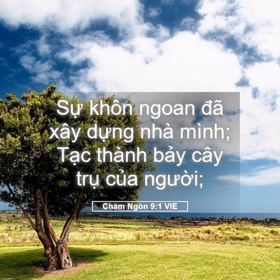 Picture 05 - Châm Ngôn 9:1 VIE - Sự khôn ngoan đã xây dựng nhà mình; - Bible Verse Picture