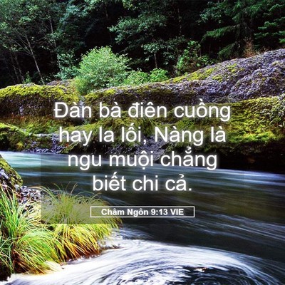Picture 05 - Châm Ngôn 9:13 VIE - Đàn bà điên cuồng hay la lối, Nàng là - Bible Verse Picture