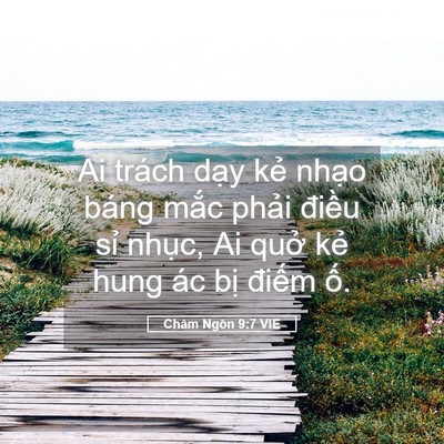 Picture 05 - Châm Ngôn 9:7 VIE - Ai trách dạy kẻ nhạo báng mắc phải - Bible Verse Picture