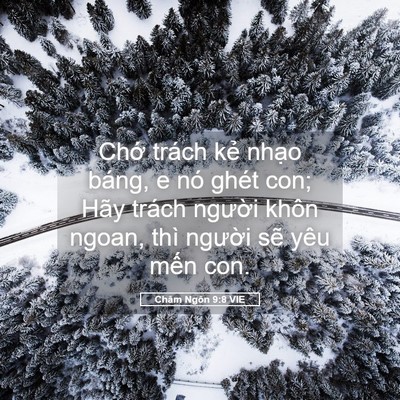 Picture 05 - Châm Ngôn 9:8 VIE - Chớ trách kẻ nhạo báng, e nó ghét con; - Bible Verse Picture