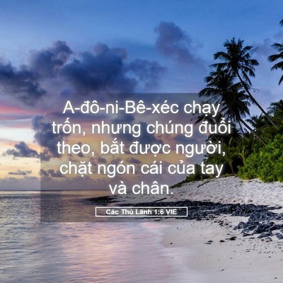 Picture 05 - Các Thủ Lãnh 1:6 VIE - A-đô-ni-Bê-xéc chạy trốn, nhưng chúng - Bible Verse Picture