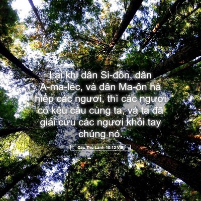 Picture 05 - Các Thủ Lãnh 10:12 VIE - Lại khi dân Si-đôn, dân A-ma-léc, và dân - Bible Verse Picture