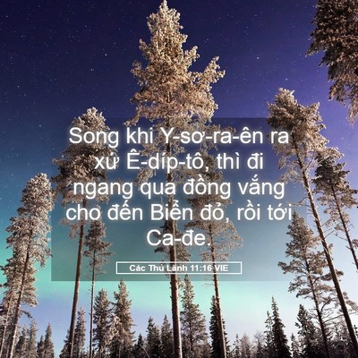 Picture 05 - Các Thủ Lãnh 11:16 VIE - Song khi Y-sơ-ra-ên ra xứ Ê-díp-tô, thì - Bible Verse Picture