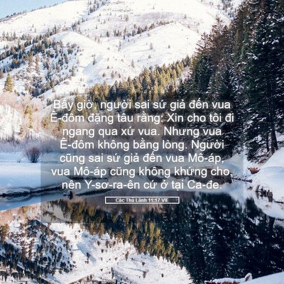 Picture 05 - Các Thủ Lãnh 11:17 VIE - Bấy giờ, người sai sứ giả đến vua - Bible Verse Picture