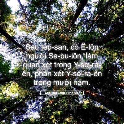 Picture 05 - Các Thủ Lãnh 12:11 VIE - Sau Iếp-san, có Ê-lôn người Sa-bu-lôn, - Bible Verse Picture