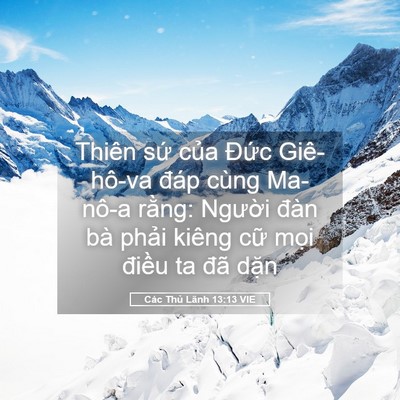 Picture 05 - Các Thủ Lãnh 13:13 VIE - Thiên sứ của Đức Giê-hô-va đáp cùng - Bible Verse Picture