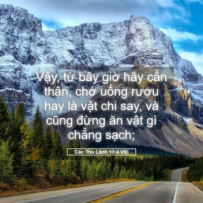 Picture 05 - Các Thủ Lãnh 13:4 VIE - Vậy, từ bây giờ hãy cẩn thận, chớ - Bible Verse Picture