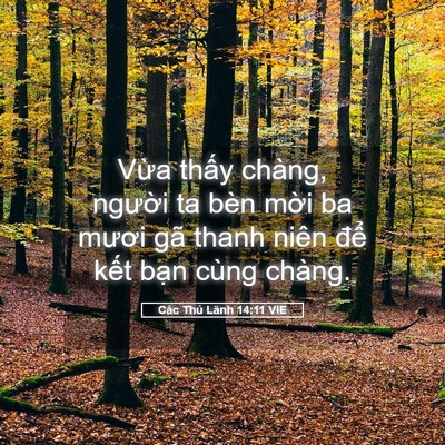 Picture 05 - Các Thủ Lãnh 14:11 VIE - Vừa thấy chàng, người ta bèn mời ba - Bible Verse Picture