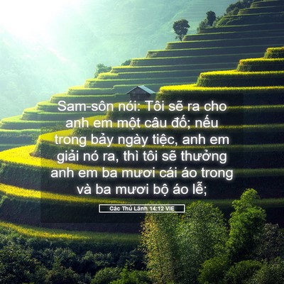 Picture 05 - Các Thủ Lãnh 14:12 VIE - Sam-sôn nói: Tôi sẽ ra cho anh em một câu - Bible Verse Picture