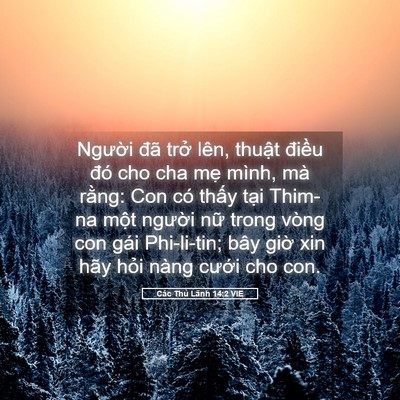 Picture 05 - Các Thủ Lãnh 14:2 VIE - Người đã trở lên, thuật điều đó - Bible Verse Picture