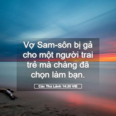 Picture 05 - Các Thủ Lãnh 14:20 VIE - Vợ Sam-sôn bị gả cho một người trai - Bible Verse Picture