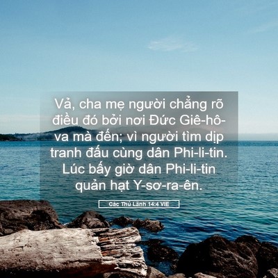 Picture 05 - Các Thủ Lãnh 14:4 VIE - Vả, cha mẹ người chẳng rõ điều đó - Bible Verse Picture