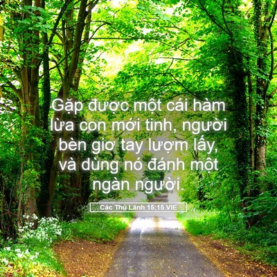 Picture 05 - Các Thủ Lãnh 15:15 VIE - Gặp được một cái hàm lừa con mới - Bible Verse Picture