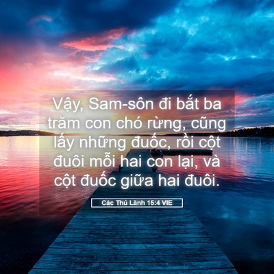 Picture 05 - Các Thủ Lãnh 15:4 VIE - Vậy, Sam-sôn đi bắt ba trăm con chó - Bible Verse Picture