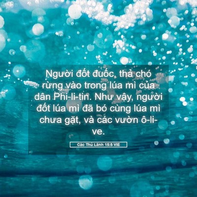 Picture 05 - Các Thủ Lãnh 15:5 VIE - Người đốt đuốc, thả chó rừng vào - Bible Verse Picture