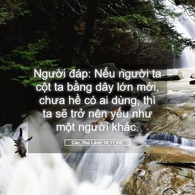 Picture 05 - Các Thủ Lãnh 16:11 VIE - Người đáp: Nếu người ta cột ta bằng - Bible Verse Picture