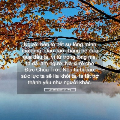 Picture 05 - Các Thủ Lãnh 16:17 VIE - Người bèn tỏ hết sự lòng mình mà - Bible Verse Picture