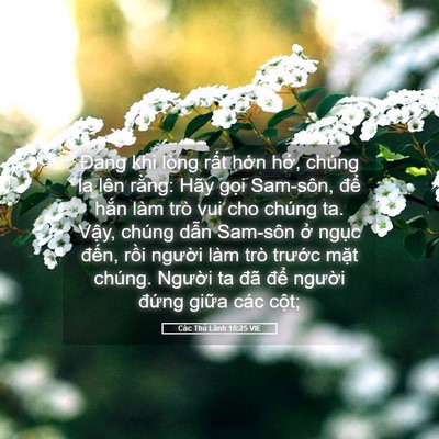 Picture 05 - Các Thủ Lãnh 16:25 VIE - Đang khi lòng rất hớn hở, chúng la lên - Bible Verse Picture