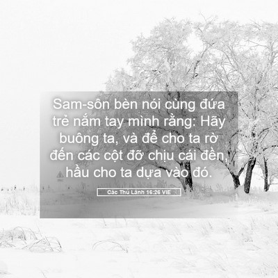 Picture 05 - Các Thủ Lãnh 16:26 VIE - Sam-sôn bèn nói cùng đứa trẻ nắm tay - Bible Verse Picture