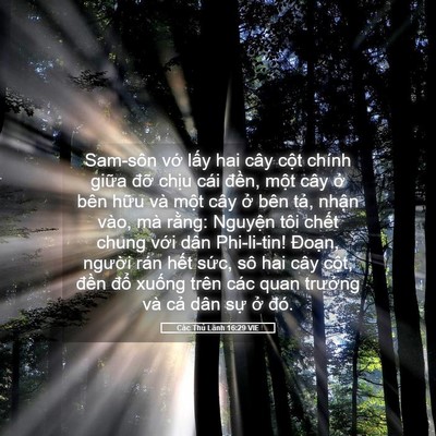 Picture 05 - Các Thủ Lãnh 16:29 VIE - Sam-sôn vớ lấy hai cây cột chính giữa - Bible Verse Picture