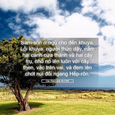 Picture 05 - Các Thủ Lãnh 16:3 VIE - Sam-sôn ở ngủ cho đến khuya. Lối khuya, - Bible Verse Picture