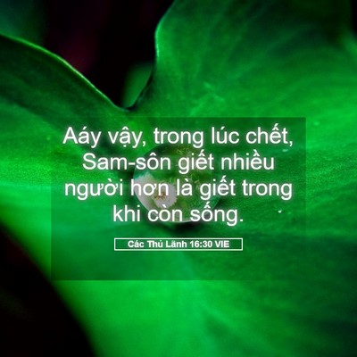 Picture 05 - Các Thủ Lãnh 16:30 VIE - Aáy vậy, trong lúc chết, Sam-sôn giết - Bible Verse Picture