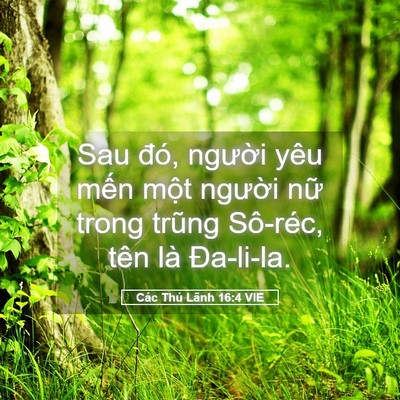 Picture 05 - Các Thủ Lãnh 16:4 VIE - Sau đó, người yêu mến một người nữ - Bible Verse Picture
