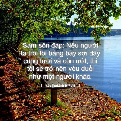 Picture 05 - Các Thủ Lãnh 16:7 VIE - Sam-sôn đáp: Nếu người ta trói tôi - Bible Verse Picture