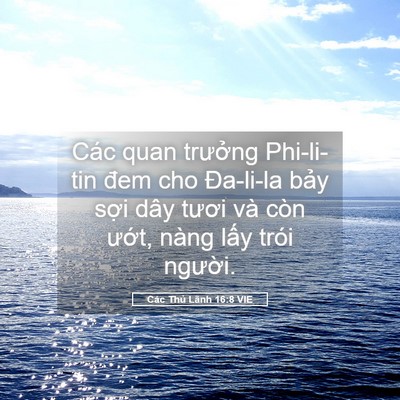 Picture 05 - Các Thủ Lãnh 16:8 VIE - Các quan trưởng Phi-li-tin đem cho Đa-li-la - Bible Verse Picture