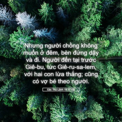 Picture 05 - Các Thủ Lãnh 19:10 VIE - Nhưng người chồng không muốn ở đêm, - Bible Verse Picture