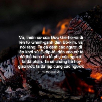 Picture 05 - Các Thủ Lãnh 2:1 VIE - Vả, thiên sứ của Đức Giê-hô-va đi - Bible Verse Picture