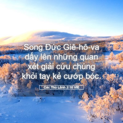 Picture 05 - Các Thủ Lãnh 2:16 VIE - Song Đức Giê-hô-va dấy lên những quan - Bible Verse Picture
