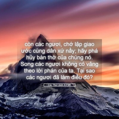 Picture 05 - Các Thủ Lãnh 2:2 VIE - còn các ngươi, chớ lập giao ước cùng - Bible Verse Picture