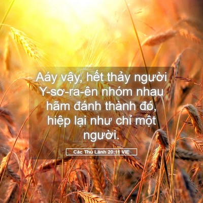 Picture 05 - Các Thủ Lãnh 20:11 VIE - Aáy vậy, hết thảy người Y-sơ-ra-ên - Bible Verse Picture
