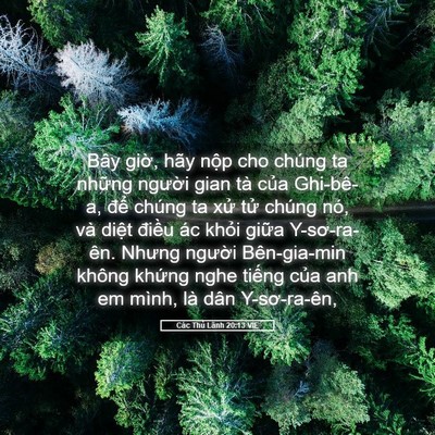 Picture 05 - Các Thủ Lãnh 20:13 VIE - Bây giờ, hãy nộp cho chúng ta những - Bible Verse Picture