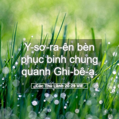 Picture 05 - Các Thủ Lãnh 20:29 VIE - Y-sơ-ra-ên bèn phục binh chung quanh - Bible Verse Picture
