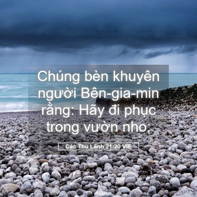 Picture 05 - Các Thủ Lãnh 21:20 VIE - Chúng bèn khuyên người Bên-gia-min rằng: - Bible Verse Picture