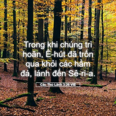 Picture 05 - Các Thủ Lãnh 3:26 VIE - Trong khi chúng trì hoãn, Ê-hút đã trốn - Bible Verse Picture