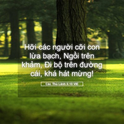 Picture 05 - Các Thủ Lãnh 5:10 VIE - Hỡi các người cỡi con lừa bạch, - Bible Verse Picture