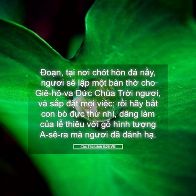 Picture 05 - Các Thủ Lãnh 6:26 VIE - Đoạn, tại nơi chót hòn đá nầy, - Bible Verse Picture