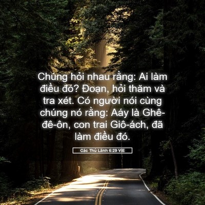 Picture 05 - Các Thủ Lãnh 6:29 VIE - Chúng hỏi nhau rằng: Ai làm điều đó? - Bible Verse Picture