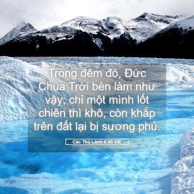 Picture 05 - Các Thủ Lãnh 6:40 VIE - Trong đêm đó, Đức Chúa Trời bèn làm - Bible Verse Picture