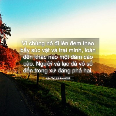 Picture 05 - Các Thủ Lãnh 6:5 VIE - Vì chúng nó đi lên đem theo bầy súc - Bible Verse Picture