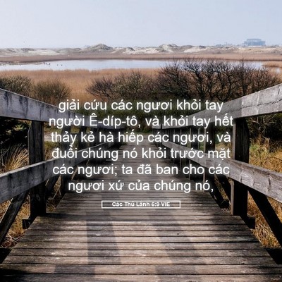 Picture 05 - Các Thủ Lãnh 6:9 VIE - giải cứu các ngươi khỏi tay người - Bible Verse Picture
