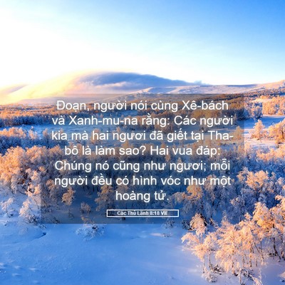 Picture 05 - Các Thủ Lãnh 8:18 VIE - Đoạn, người nói cùng Xê-bách và - Bible Verse Picture