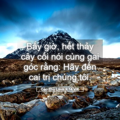 Picture 05 - Các Thủ Lãnh 9:14 VIE - Bấy giờ, hết thảy cây cối nói cùng - Bible Verse Picture