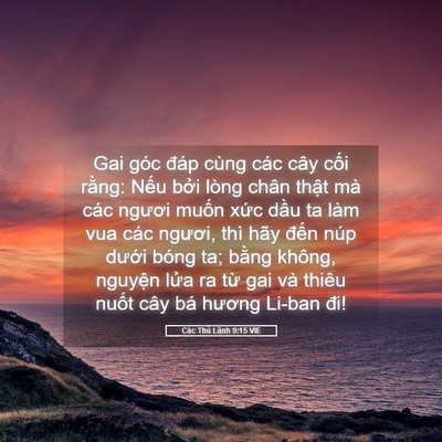 Picture 05 - Các Thủ Lãnh 9:15 VIE - Gai góc đáp cùng các cây cối rằng: - Bible Verse Picture