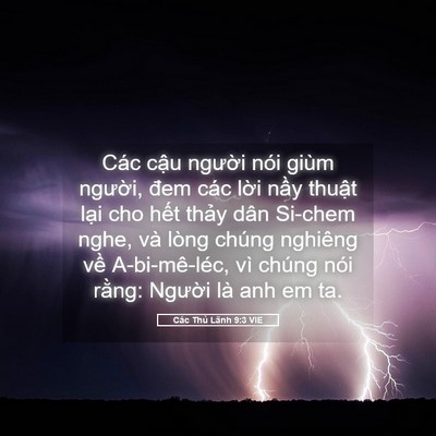 Picture 05 - Các Thủ Lãnh 9:3 VIE - Các cậu người nói giùm người, đem - Bible Verse Picture