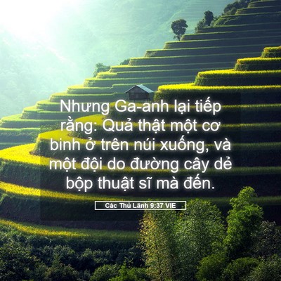 Picture 05 - Các Thủ Lãnh 9:37 VIE - Nhưng Ga-anh lại tiếp rằng: Quả thật - Bible Verse Picture